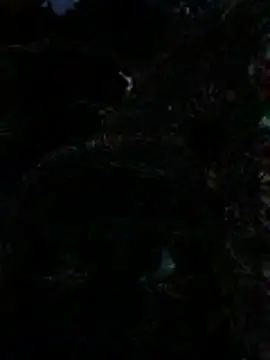 KINKYBOOTI22 现场XXX聊天