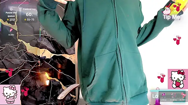 venus_exe webcam show