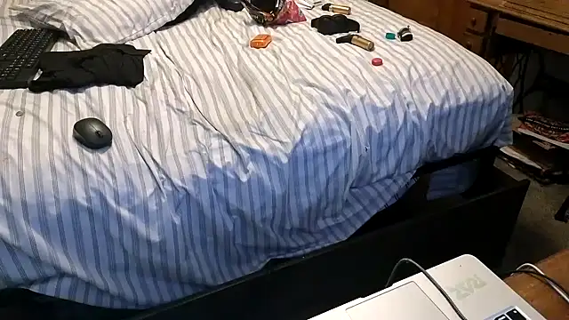 แชท XXX สดของ spazz247