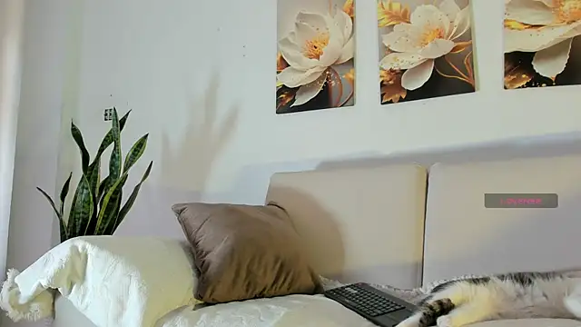 XXX chat uživo modela Viioletcollins