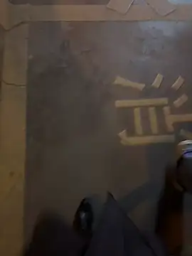 petoys 即時 XXX 聊天