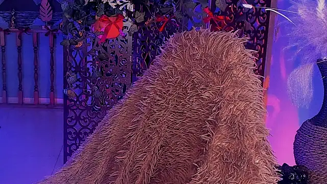 LidaDarknet Webcam Show