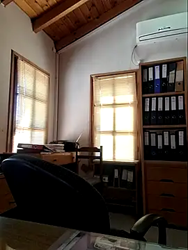 Show modela darialmas na web-kameri