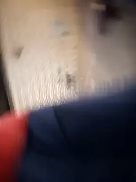 Вебкам-шоу Michael514668