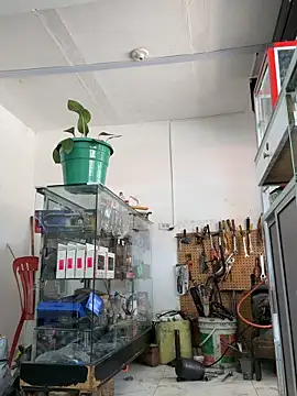 Paul22cm- Live XXX-chat