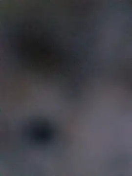 Show de soyxx18 na webcam