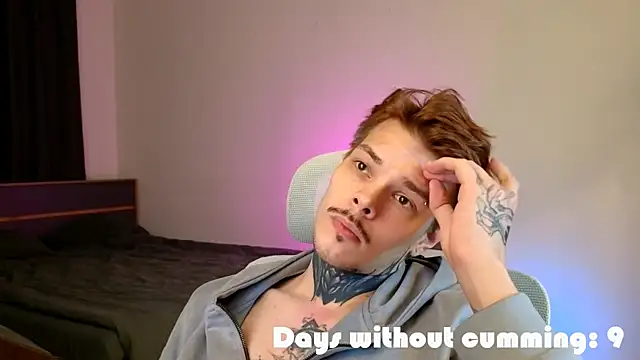 DENIS_HEREn Webbikameraesitys