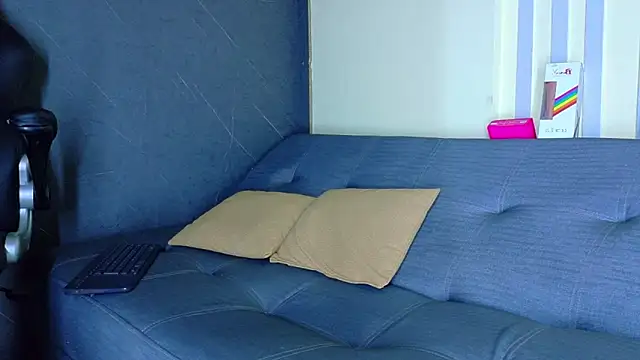 Show webcam de ALANNFERRER