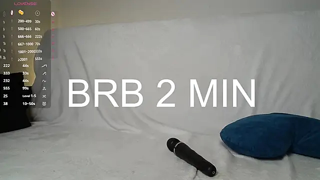 _DLTA_のウェブカメラショー