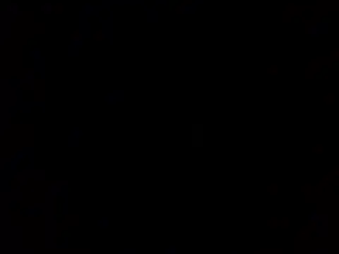 Ldnick69 Pertunjukan Webcam