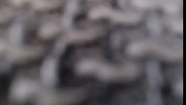 โชว์เว็บแคมของ Shortboy84