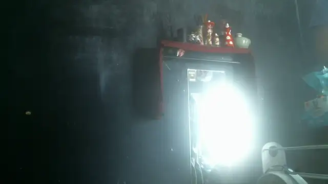 Show Webcam de LostInEjaculation