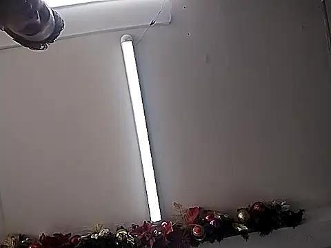 Živý XXX chat Regina_23