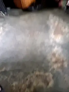 Pertunjukan Kamera Web Davidii907552