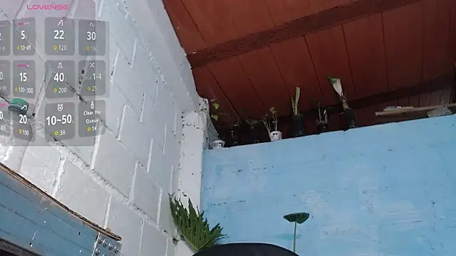 Chatroom XXX en direct de jasminne_