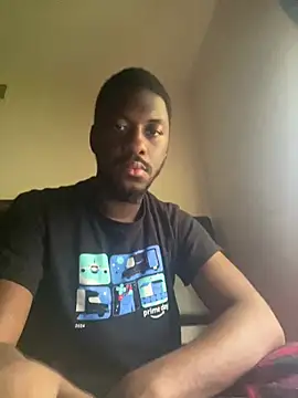 Show webcam de ThickDic28