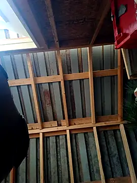 ShawnandDani7074's Live XXX Chat