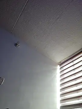 -BlueOpal- Show Webcam