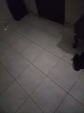 XXX chat uživo modela wildguy27