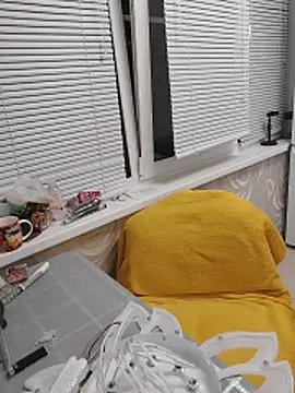 Show webcam de GingerFoxy