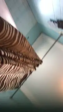 แชท XXX สดของ reckless_34