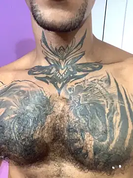 Salomon_koude élő XXX-chatje