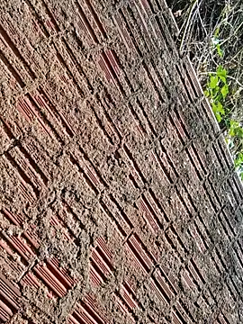 Nfsexy_hot webcam show