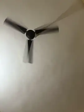 cutieNancy Webcamshow