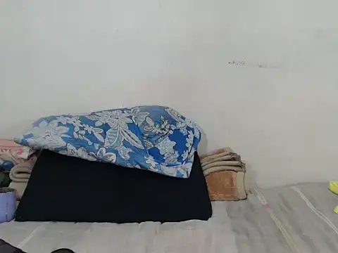 Show modela tinytiny13 na web-kameri