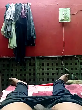 Playbo100 现场XXX聊天