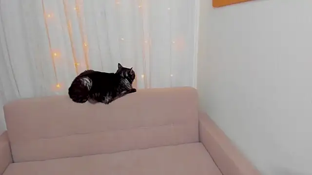 FieryHeart Live XXX-chat