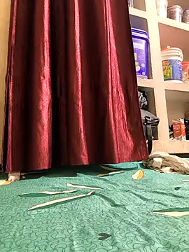 paro22_sexn Live XXX chat