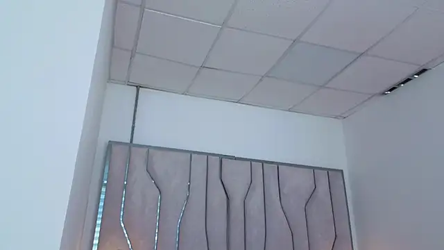 Chat +18 de MAISE_HILL1 ao vivo