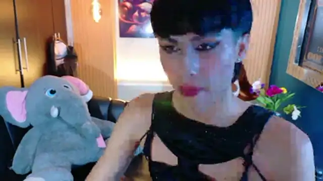 Evans_Robinsonのウェブカメラショー