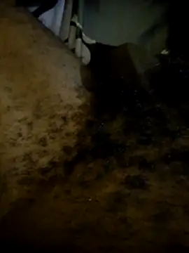 bigdaddyaka360: διαδικτυακό σόου στην κάμερα