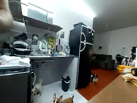 Gasc_1992's Webcam Show