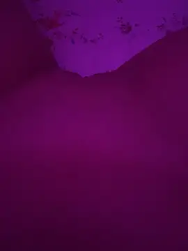 Business_pussy69 Chat XXX live