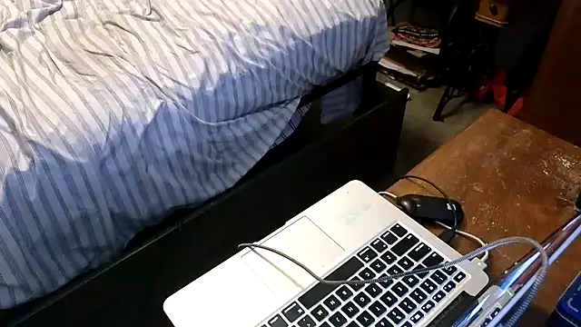 Show Webcam de spazz247