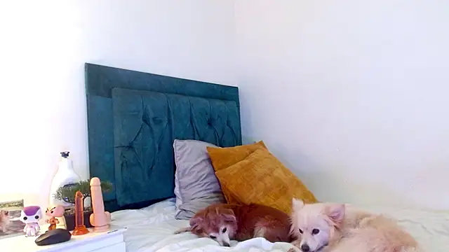 cedrixx10 élő XXX-chatje