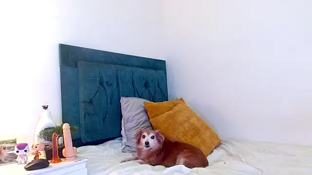 cedrixx10 Chat XXX in diretta