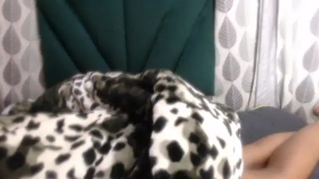 Nellybba Obrolan Langsung XXX