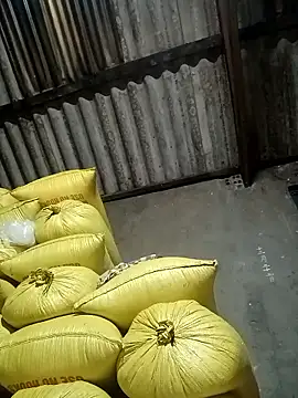 kaia-cam's Live XXX Chat