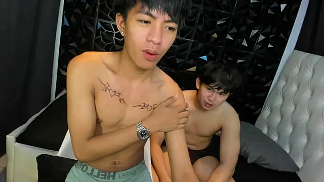 Show webcam de davincihugecock