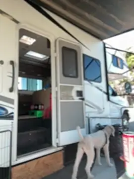 Kate-Paul webcam show