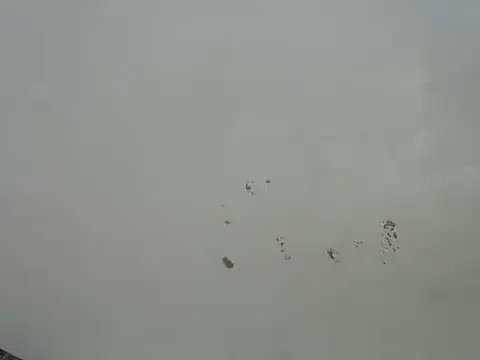 Rasta_tattooed – Naživo XXX chat