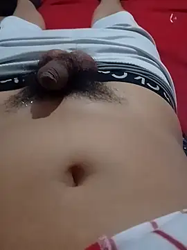 lat99005 网络视讯表演