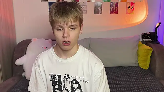 metarion Webcam-Show