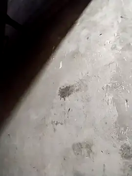 kussecka 现场XXX聊天