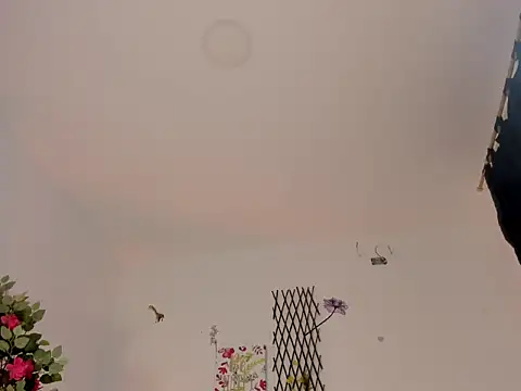 Mara_7_'s Live XXX Chat