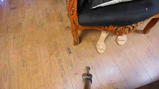 TaylorGracen Live XXX chat